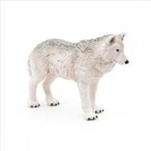 Vlk polární - autor neuvedený