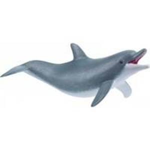 Delfín nezbeda - autor neuvedený