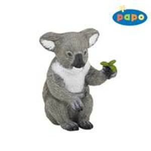 Koala - autor neuvedený