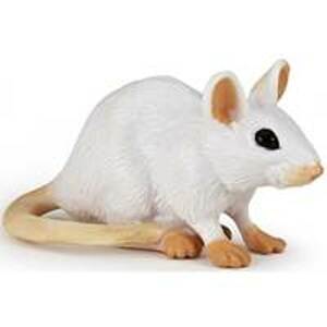 Myš bílá - autor neuvedený