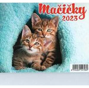 Mačičky 2023 - stolový týždenný kalendár - autor neuvedený