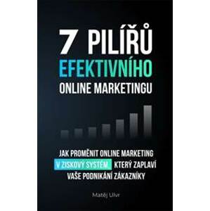 7 pilířů efektivního online marketingu - Matěj Ulvr