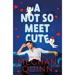 A Not So Meet Cute - Quinn Meghan