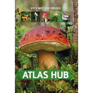 Atlas hub - Zarawska Patrycja