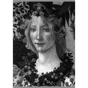 Botticelli - Lionello Venturi, Alessandro Cecchi, Phaidon Press Ltd