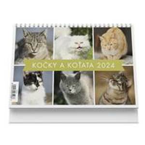 Kočky a koťata 2024 - stolní kalendář - autor neuvedený