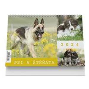 Psi a štěňata 2024 - stolní kalendář - autor neuvedený