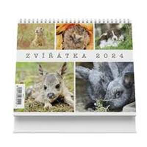 Zvířátka 2024 - stolní kalendář - autor neuvedený