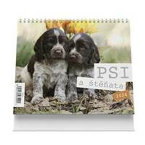 Psi a štěňata 2024 - stolní kalendář - autor neuvedený
