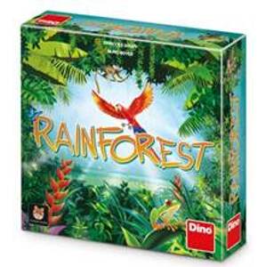 Hra Rainforest - autor neuvedený