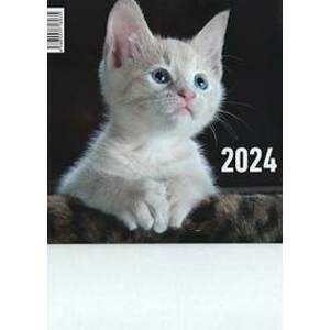 Mačka 2024 - stolový mesačný kalendár - autor neuvedený
