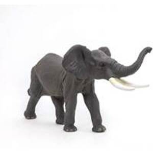 Slon se zvednutým chobotem - autor neuvedený