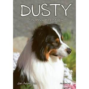 Dusty 7: Stratený bez stopy - Jan Andersen