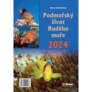 Podmořský život Rudého moře 2024 - Alena Doležalová
