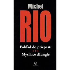 Pohľad do priepasti - Michel Rio