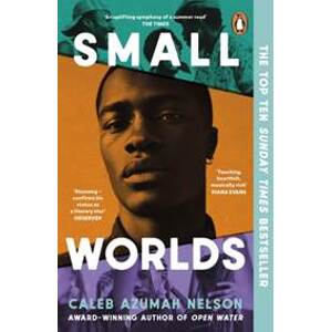 Small Worlds - Caleb Azumah Nelson, Penguin Books